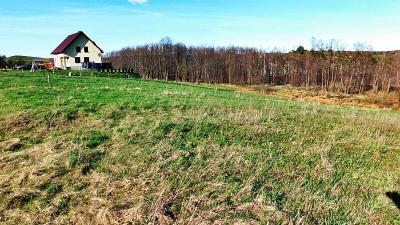 Nieruchomość z linią brzegową, gm. Przerośl 5500 m2. Polecam 